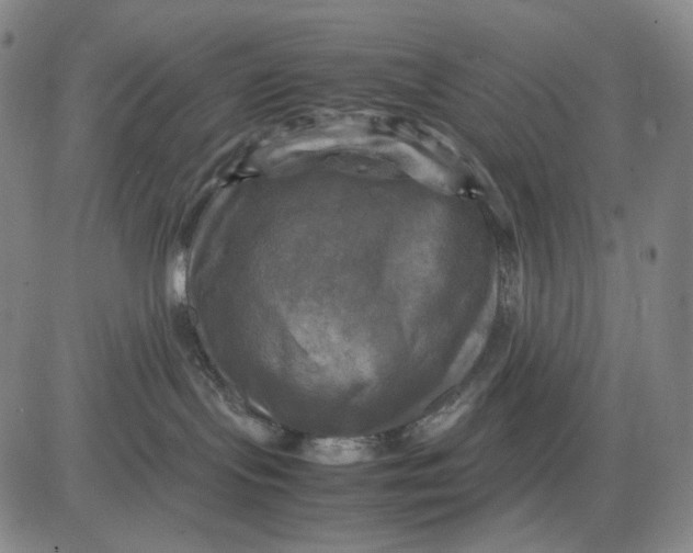 X0000083640095200703051712