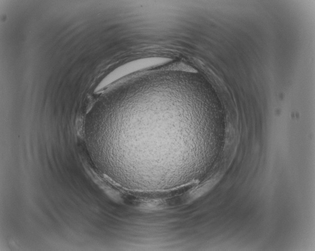 X0000083640096200703051712