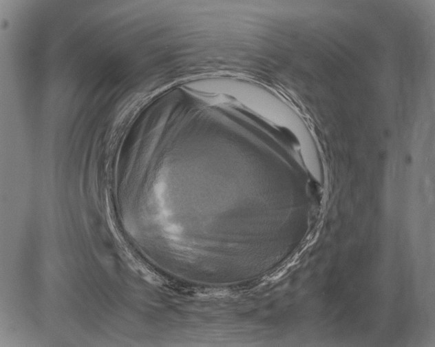 X0000083640097200703051711