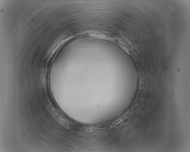 X0000083640098200703051711