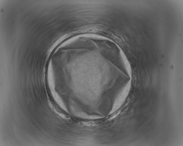 X0000083640100200703051711