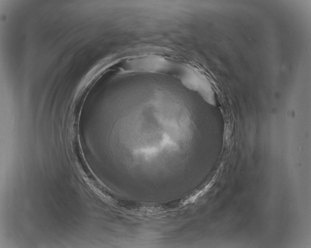 X0000083640101200703051711