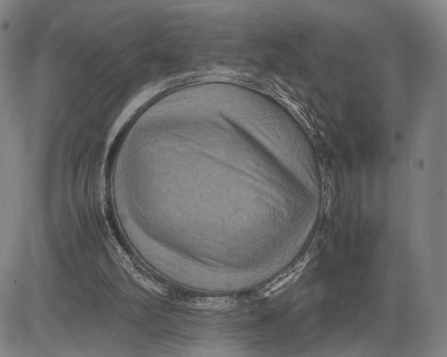 X0000083640102200703051711