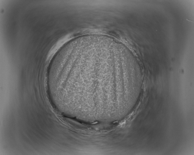 X0000083640103200703051711