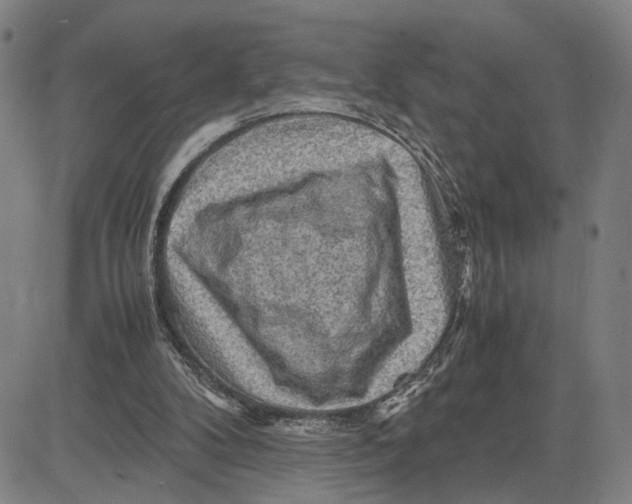 X0000083640104200703051711