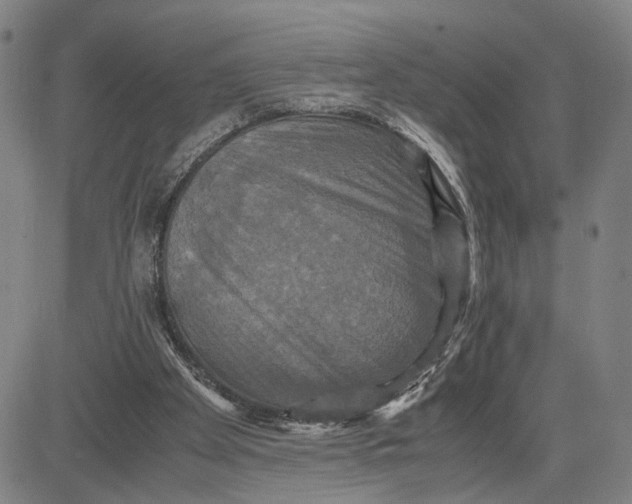 X0000083640105200703051711