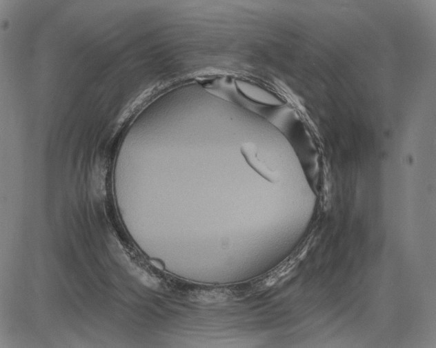 X0000083640106200703051711