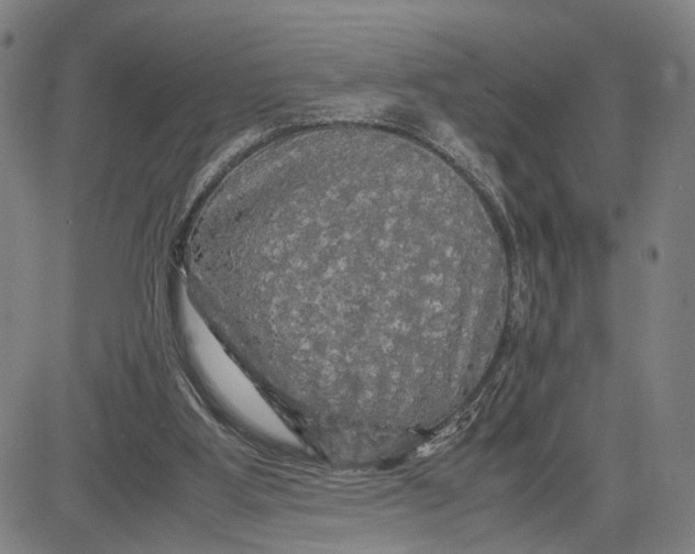 X0000083640107200703051711