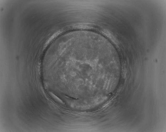 X0000083640111200703051711