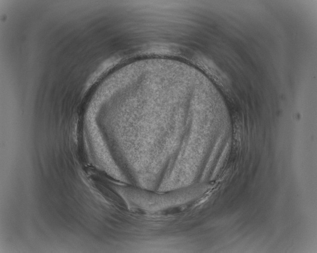 X0000083640112200703051711