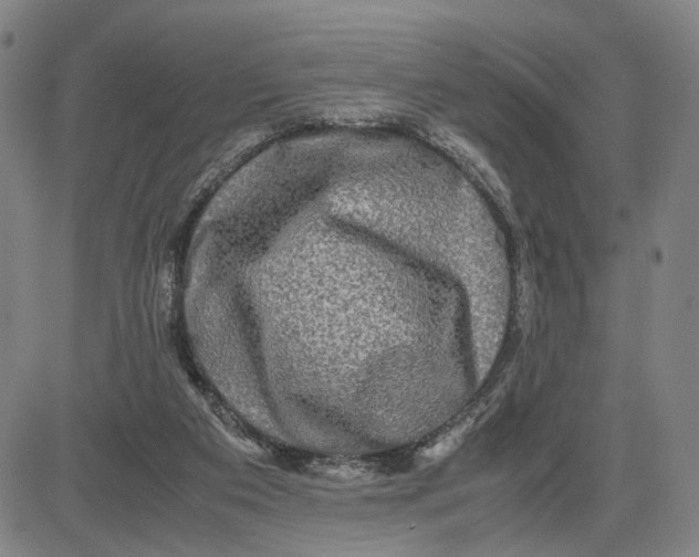 X0000083640113200703051711