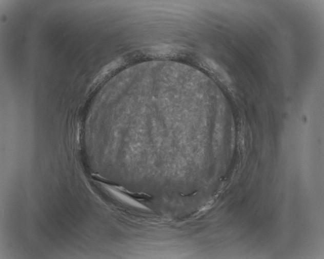 X0000083640115200703051711