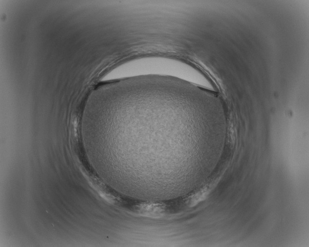 X0000083640117200703051710