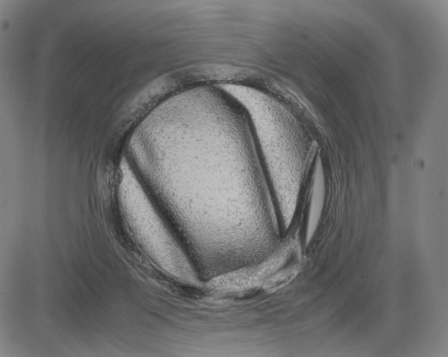 X0000083640119200703051710