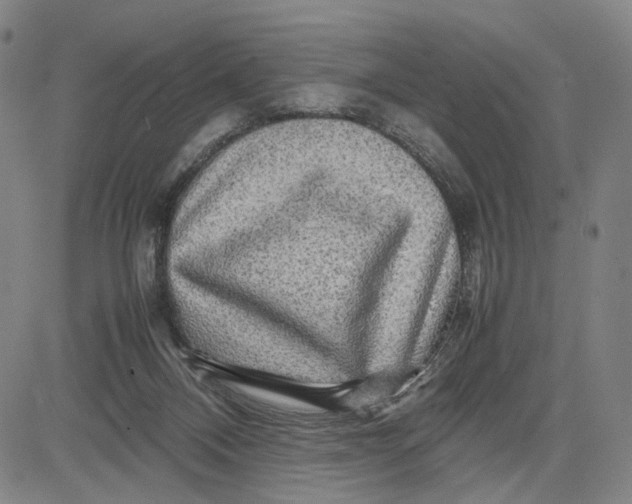 X0000083640120200703051710