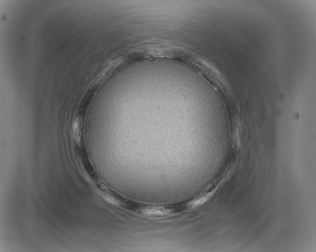 X0000083640121200703051710