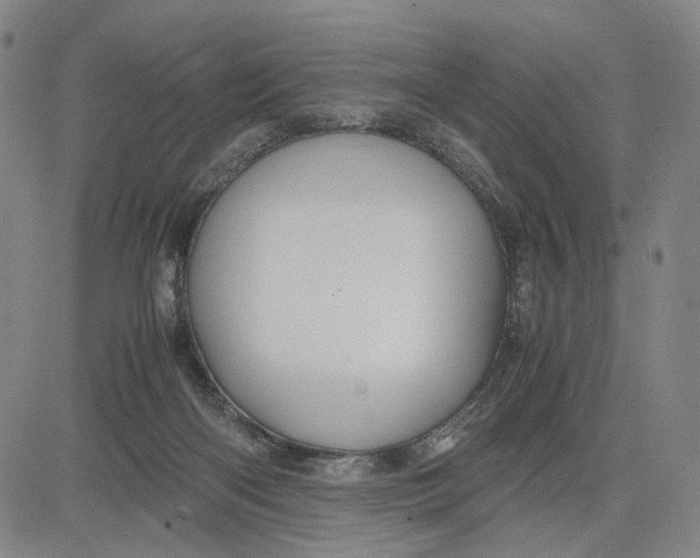 X0000083640122200703051710