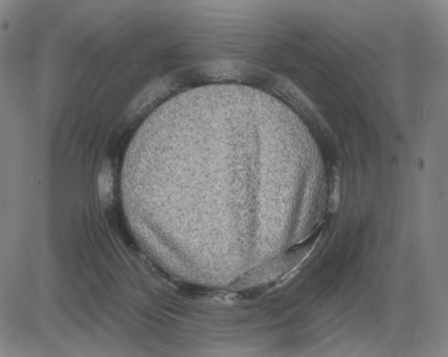 X0000083640124200703051710