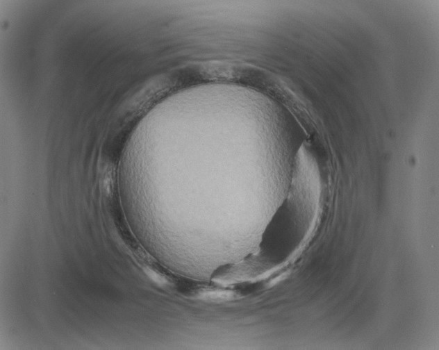 X0000083640125200703051710