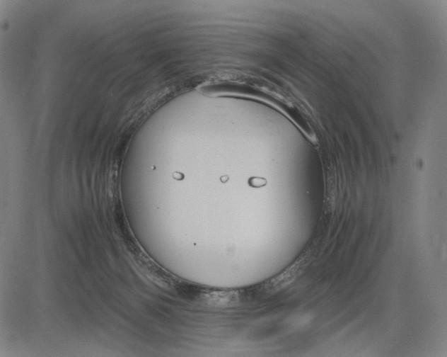 X0000083640126200703051710