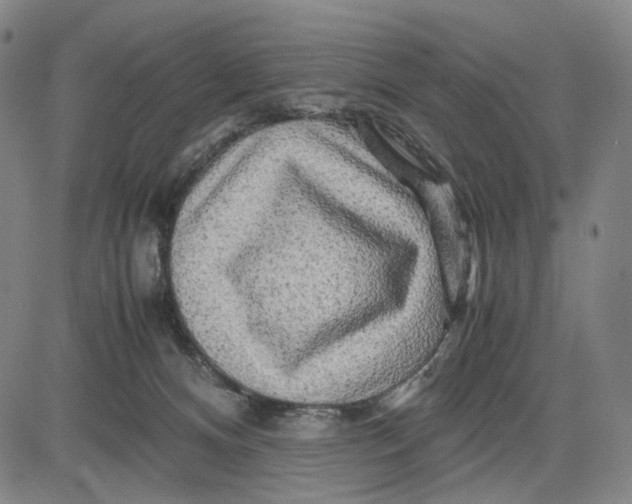 X0000083640128200703051710