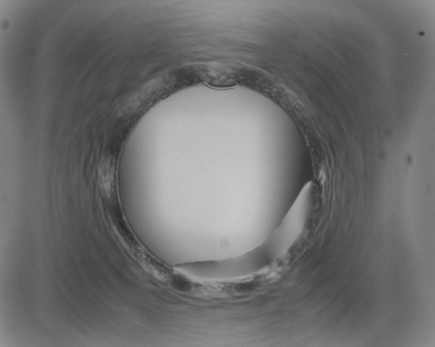 X0000083640129200703051710