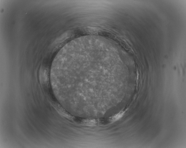 X0000083640131200703051710