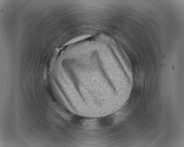 X0000083640132200703051710