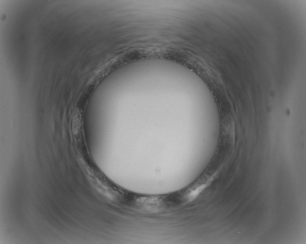 X0000083640133200703051710