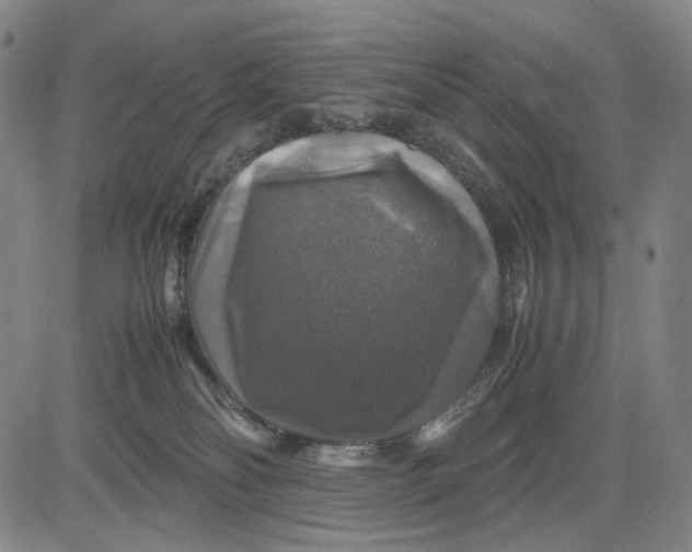 X0000083640134200703051710