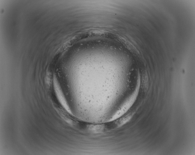 X0000083640135200703051710