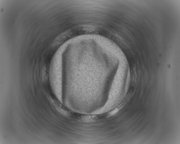 X0000083640136200703051710