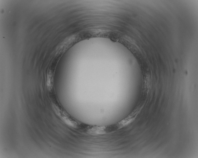 X0000083640138200703051710