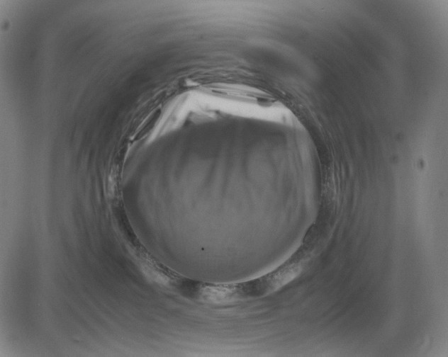 X0000083640139200703051710