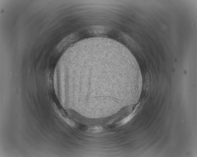 X0000083640140200703051710