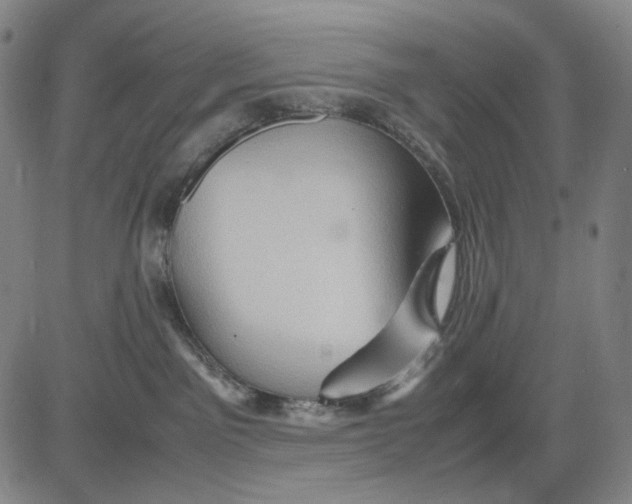 X0000083640141200703051710