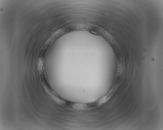 X0000083640142200703051710