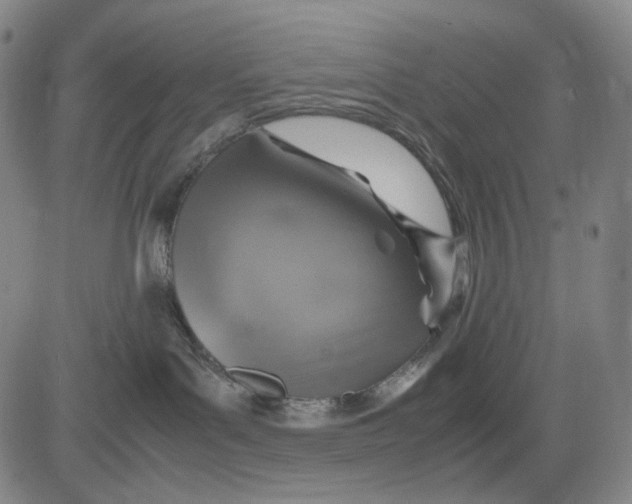 X0000083640143200703051710