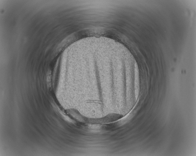 X0000083640144200703051710