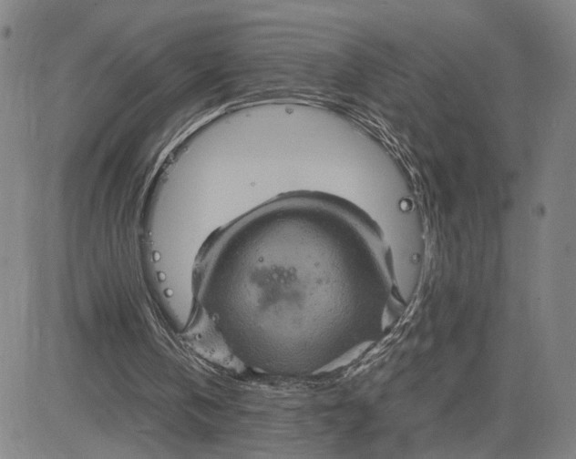 X0000083640146200703051709