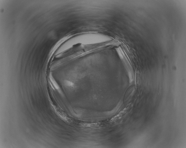 X0000083640147200703051709