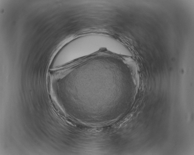 X0000083640148200703051709