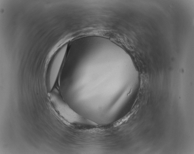 X0000083640150200703051709