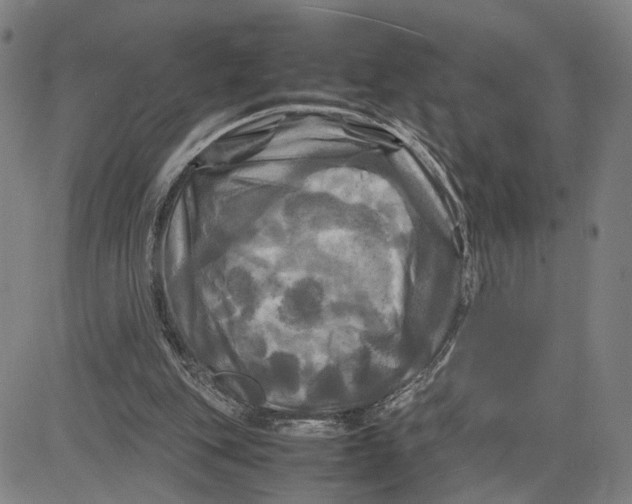 X0000083640151200703051709