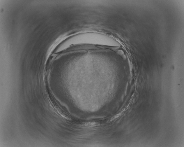 X0000083640152200703051709