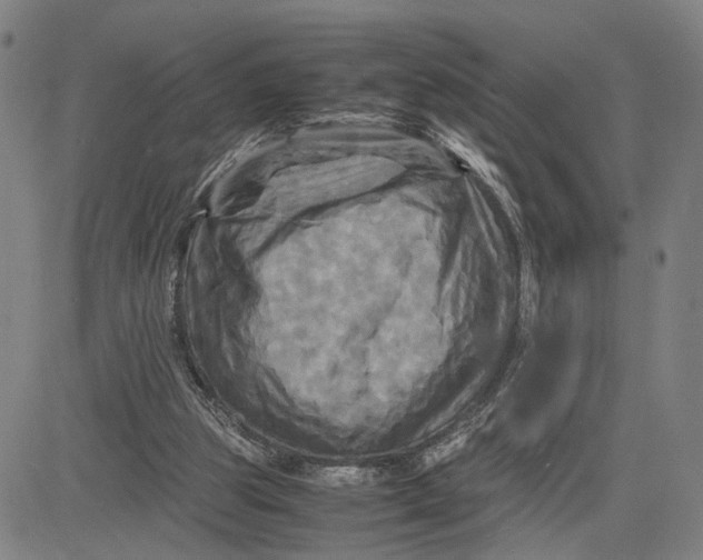 X0000083640153200703051709