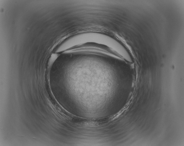 X0000083640154200703051709