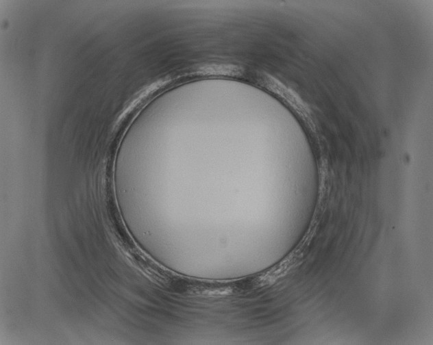 X0000083640155200703051709