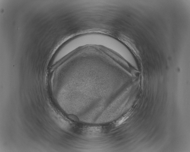 X0000083640156200703051709