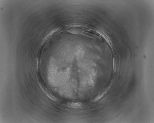 X0000083640157200703051709